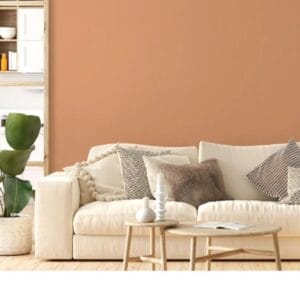Living Room Colour Combination