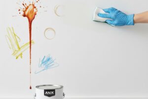 Common Wall Problems