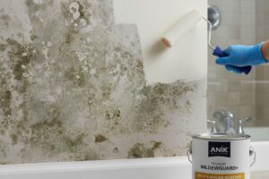 How Premium Paints Solve Them