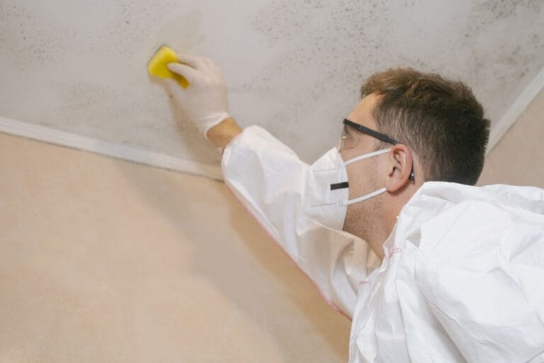 Person in gloves, goggles and a mask scrubbing mould off a painted ceiling