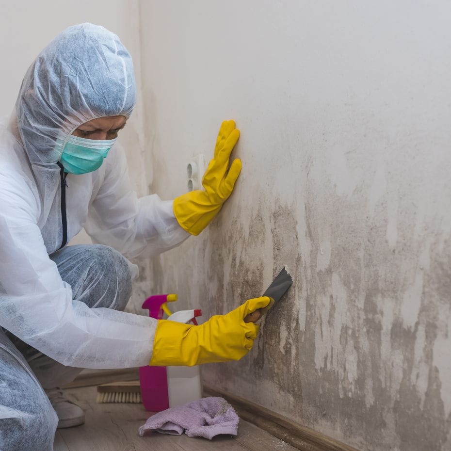 How to Remove Mould from Painted Walls